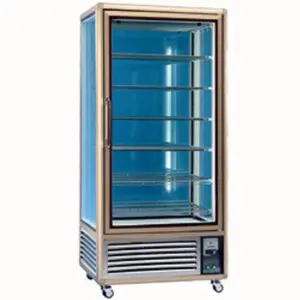 Diamond MAXIVISION-650GBT-2E Single Door Upright Display Freezer