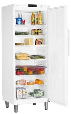 Liebherr GKv 6410 Single Door Upright Fridge, 664 Litres - Image 2