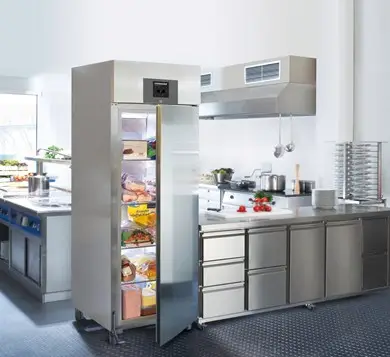 Liebherr GKPv 6590 ProfiLine Single Door Premium Upright Fridge, 596 Litres - Image 4