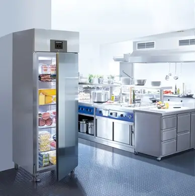 Liebherr GKPv 6590 ProfiLine Single Door Premium Upright Fridge, 596 Litres - Image 7