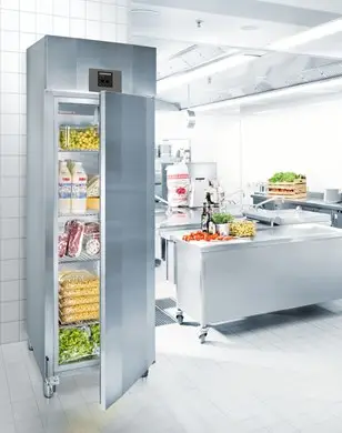 Liebherr GKPv 6590 ProfiLine Single Door Premium Upright Fridge, 596 Litres - Image 3