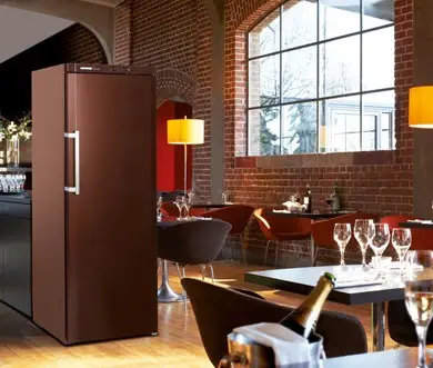 Liebherr WKt 6451 GrandCru Solid Single Door Brown Upright Wine Cabinet, 312 x 750ml Bottles - Image 6