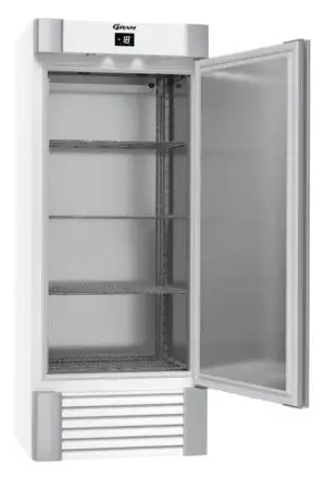 Hoshizaki Gram ECO MIDI F 82 LAG 4N Single Door Upright Freezer, 603 Litres