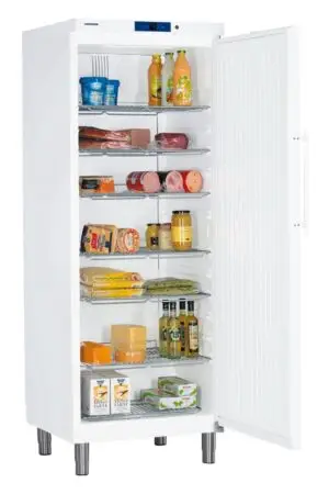 Liebherr GKv 6410 Single Door Upright Fridge, 664 Litres