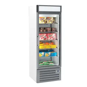 INFRICO Single Glass Door Freezer Merchandiser 500L