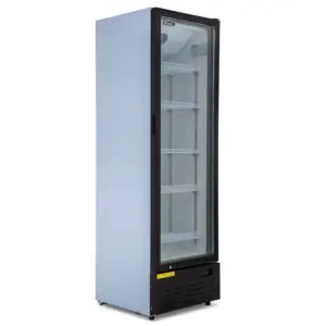 BLIZZARD Single Hinged Glass Door Merchandiser