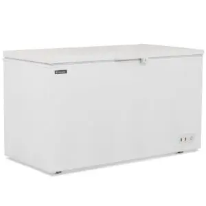 BLIZZARD 650L Chest Freezer