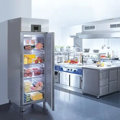 Liebherr GKPv 6590 ProfiLine Single Door Premium Upright Fridge, 596 Litres - Image 8