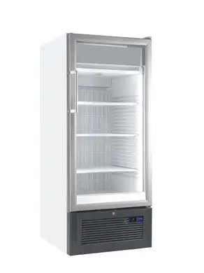 Liebherr Fv 3643 Single Door Freezer, 365 Litres