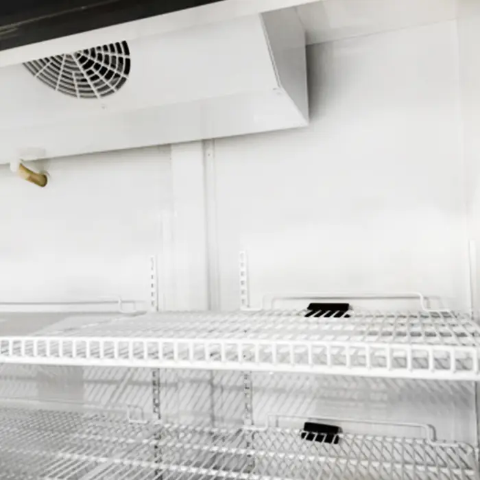BLIZZARD Single Hinged Glass Door Freezer Display Merchandiser - Image 5