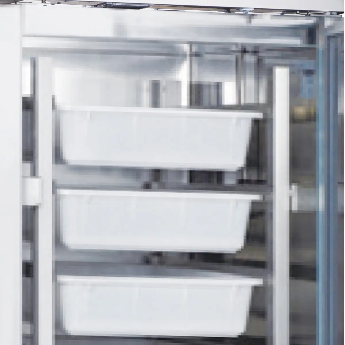 BLIZZARD Upright Single Hinged Door Fish Cabinet - Image 3