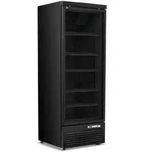 BLIZZARD Single Hinged Glass Door Display Freezer